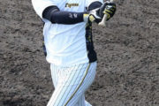 阪神・井上、フリー打撃で８８スイング中１２本の柵超えwwwwwwwwwwwwwwwwwwww