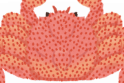 【画像】すまん昨日蟹引っ掛けたんだけどこれくり蟹？