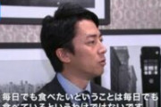 【悲報】金子恵美「進次郎は地アタマがよくない」