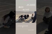 櫻坂46 ゴロンするにゃんこと戯れる三期ちゃん話しかけるいとちゃん 猫の日 向井純葉 村井優 小田倉麗奈 石森璃花 遠藤理子 三期生