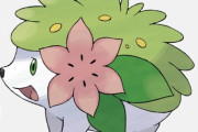 一番かわいい伝説・幻ポケモンｗｗｗｗｗｗｗｗｗｗｗｗｗｗｗｗｗｗｗ