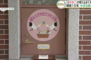 赤ちゃんポストに捨てられた子を親に戻した結果