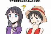 【画像】絵師さん「ワンピースのルフィxロビ尊い...」←16万いいねwww