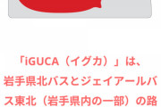 【朗報】岩手で交通ICカード『iGUCA（イグカ）』爆誕