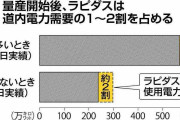 ラピダスの利用電力60万キロワット道内需要の1～2割北電と安定調達協議(道新)