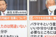 【画像】 独身貴族、給付金限定支給に発狂