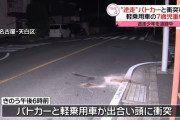 名古屋市でパトカーがサイレンを鳴らさず一方通行を逆走して親子3人が乗る軽自動車と衝突→7歳の男の子が内臓から出血する大ケガ