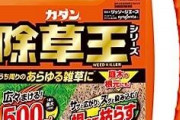 【ビッグモーター】フマキラー「除草王じゃ木は枯れないんだよなあ」