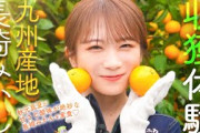 秋元真夏が長崎みかんの収穫体験！味の濃い長崎みかんの秘密に迫る！