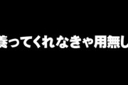 彼女に養ってくれなきゃ用無しだよって言われた