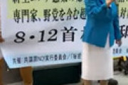 福島瑞穂氏、戦没者追悼式でコンタクトレンズを取って舐めて戻す・・ 丸山穂高氏の暴露に衝撃走るｗｗ