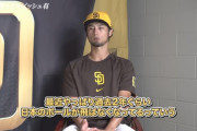 NPB、「投手のレベルが上がってる」ではなく、「ボールが飛ばない」が正解だった