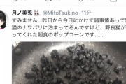 月ノ美兎さん、野良猫宅に泊まり朝食をご馳走してもらう【にじさんじ】