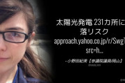 自民･小野田紀美「山の傾斜地の”太陽光発電”　231カ所に崩落リスク」