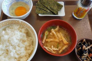 すき家の250円定食、顕になるｗｗ