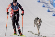ミラノ五輪クロスカントリーに犬が乱入！！堂々ゴールする