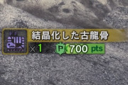 MHWアイスボーン　調査ポイント稼ぎって導きでひたすら骨むしり？