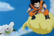 ドラゴンボールの舞空術とか〇〇波とかってあくまで超能力じゃなくて拳法なの？