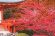 海外「素敵な場所ですね！シンプルな美しさがある」京都にある醍醐寺弁天堂の紅葉（海外の反応）