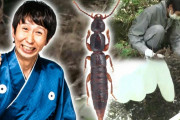【広島県】アンガ山根が新種の昆虫を発見！『元就。』ロケ中の快挙！国際的学術誌も認定「日本のコメディアンが発見した」