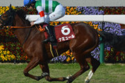 【競馬予想】第26回富士ステークス(GⅡ) /2023