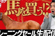 ●ジャンポケ斎藤「ジャンポケ産駒買います！」