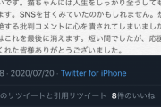 自作自演を疑われた捨て猫を拾ったYouTuberさん、謝罪&引退へ