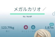 【ポケモンGO】背景メガルカリオ、かっこいい