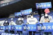 無観客試合中誕生した謎の応援マスコット「マネキン」予算3万だった！？