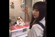 【悲報】美少女JKさん、『サイコキネシス』でUFOキャッチャーを乱獲してしまうｗｗｗｗ