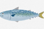 鯖とかいう糞不味い魚を急に日本人が持ち上げ始めた理由