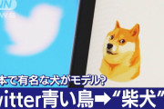 ツイッターがアイコンを日本の柴犬に変更韓国左派激怒