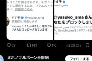 【悲報】逆張りでやす子を中傷していた底辺ツイ民、やす子に訴訟をチラつかされ号泣土下座を始めるｗｗｗｗｗｗｗｗ