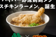 モスバーガー、チキンラーメンとコラボｗｗｗｗｗｗ　