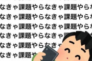 【悲報】ワイ無能ADHD高学歴、就活で詰む