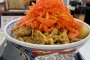 【悲報】牛丼に「大量の紅生姜」を乗せて食べるやつ、多分頭がおかしい