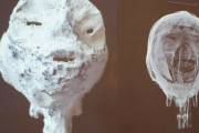 メキシコのミイラ、逝く　ペルー政府が偽物認定