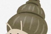 【朗報】ジャンボタニシ、最新技術でうまく利用すれば無農薬栽培に役立つ益虫なるらしい