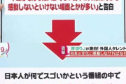【悲報】厚切りジェイソン「アメリカに四季があると言うと全部カットされた」