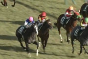 【競馬/クイーンC】戸崎糞騎乗。2番人気3着フローレスマジック