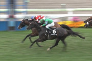 【競馬】函館11R レッドソロモン銀行開店wwwwwwwww