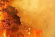 豪山火事が地獄の扉が開かれたようだと海外で大きな話題に･･･集落が「ほとんどなくなった」場所も･･･オーストラリアの人達大丈夫かこれ･･･