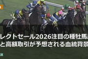 セレクトセール2026注目の種牡馬産駒と高額取引が予想される血統背景