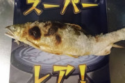激ウマ焼き魚キタ━(ﾟ∀ﾟ)━! 　→　皿がレアすぎるｗｗｗ（※画像あり）