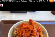 【画像】X民「韓国人ごめん！キムチを牛丼に乗せたらめっちゃ美味いわ！(爆受けやろなぁ…w)」韓国人「…」→結果