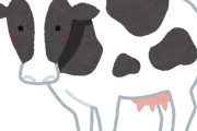 【意図したものではなかった】ホルスタインを「黒毛和牛」と販売　畜産会社「猛省しております」　鹿児島・指宿市