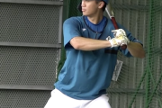 日ハム加藤豪将って活躍できると思う？？？