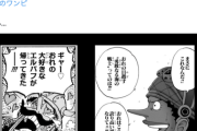 【悲報】ワンピース、ついにコアファンからも呆れられる