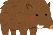 イノシシの肉って美味しいの？