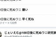 【悲報】100日後に死ぬワニ、嫌われすぎる